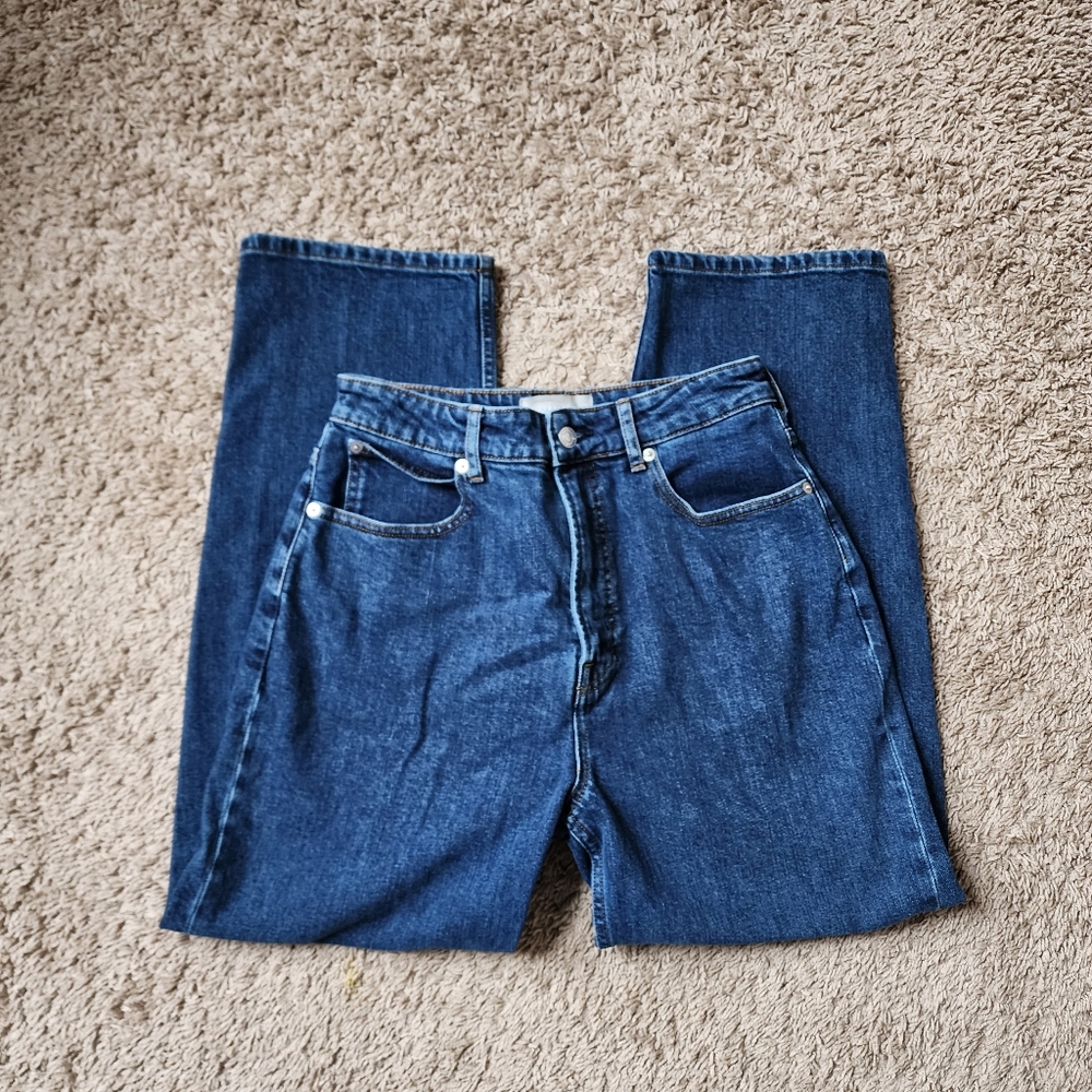 Everlane The Curvy Way High Jean Organic Cotton Size 29 Regular